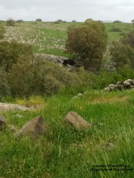Nachal Gilabon - Photo from moshe(2).jpg Photo from moshe(2).jpg