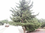DSCN2033