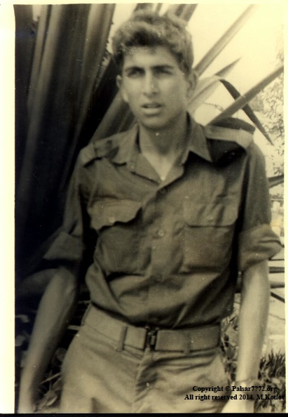 ×‘×˜×™×¨×•× ×•×ª 4.JPG