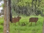 IMG-20210412-WA0011